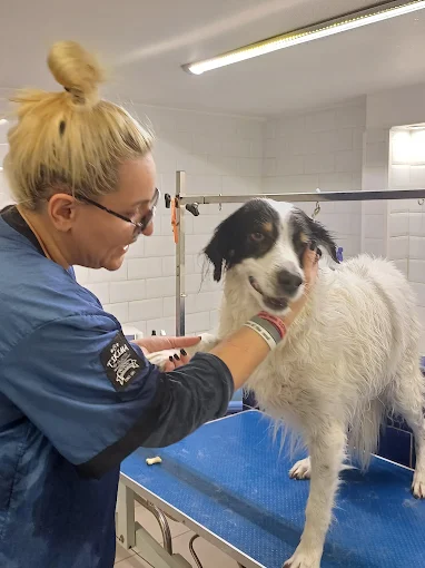 Απαλή περιποίηση από έμπειρο προσωπικό